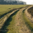 poln� cesta